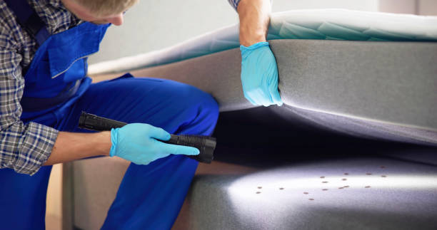Reliable Daytona Beach Shores, FL Pest Control Solutions